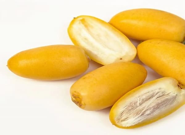 تصویر 2 از قیمت خرید خرما رطب خارک + فروش ویژه